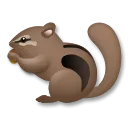 észak-amerikai mókus