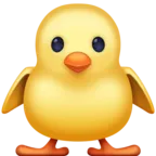 Előre néző baba csaj