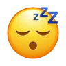 Sleeping Face