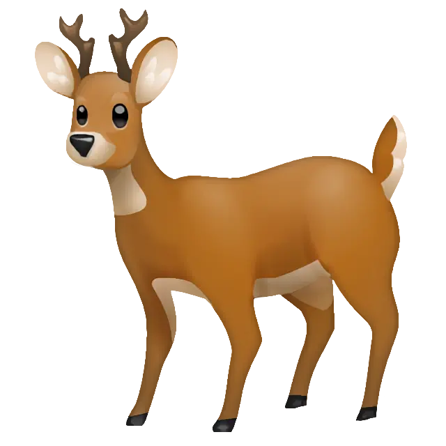 Hirsch