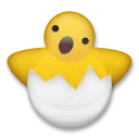 ฟักไข่ไก่