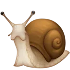 달팽이