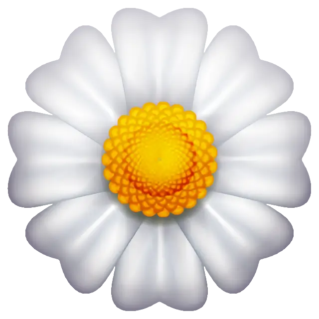 꽃