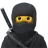 Ninja