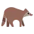 Raccoon